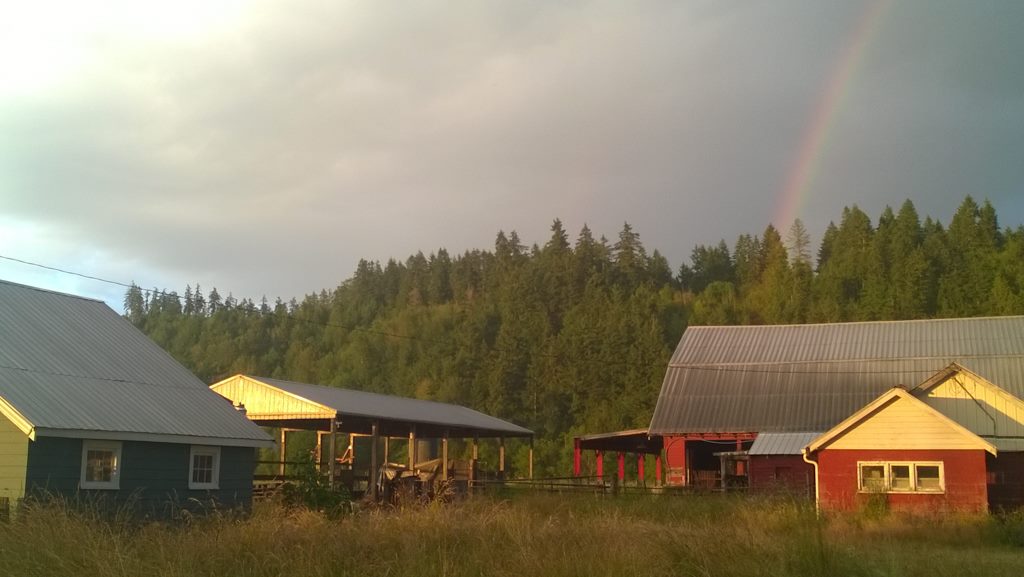 21587232_10213051614901701_5960641433166987711_o