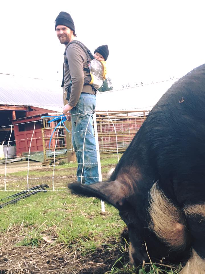 27751967_1716158921777502_156939055846100483_n